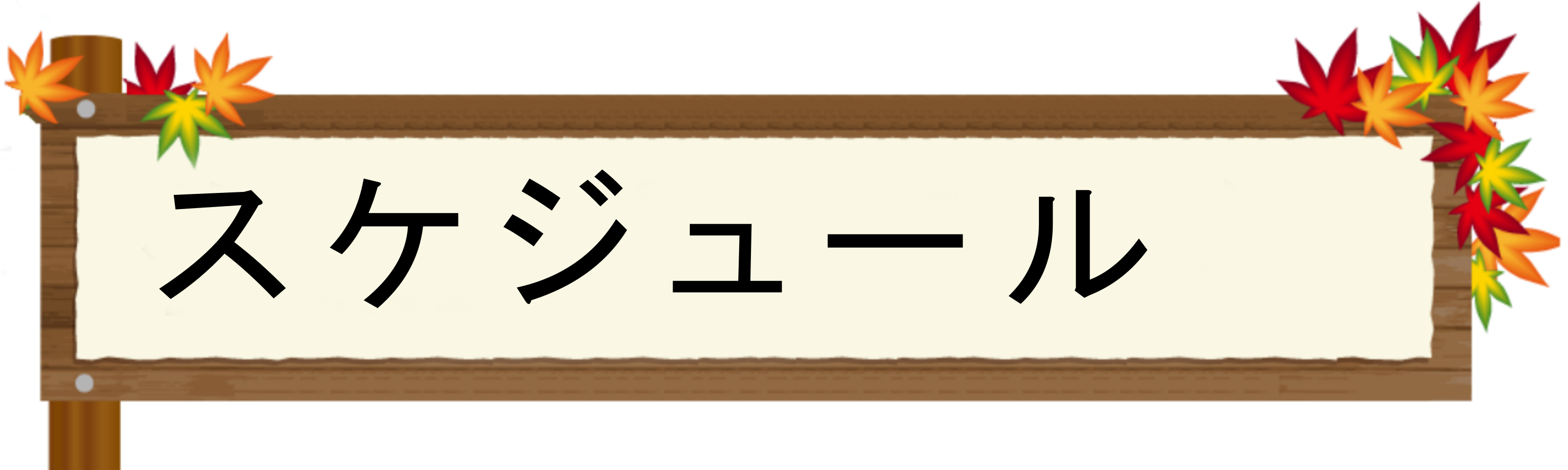 スケジュール